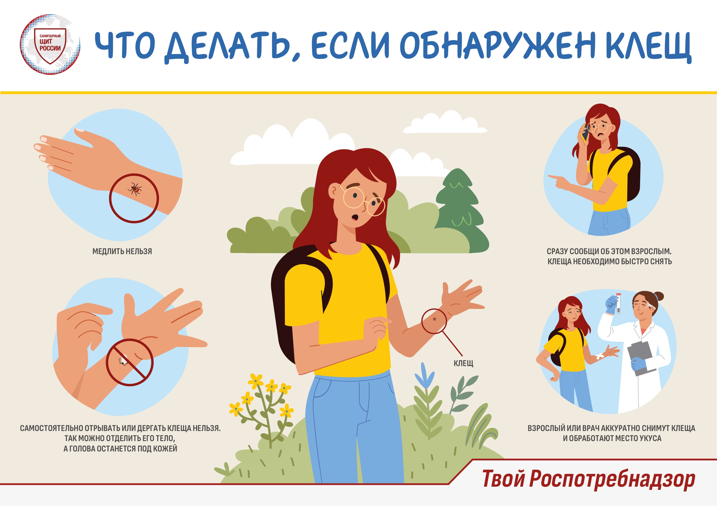 Изображения.